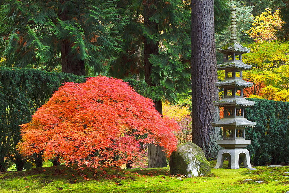 Portland Japanese Garden, Portland, Oregon, Usa