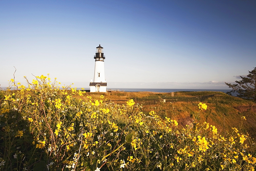 Yaquina Head Lighthouse, Yaquina Head, Oregon, Usa