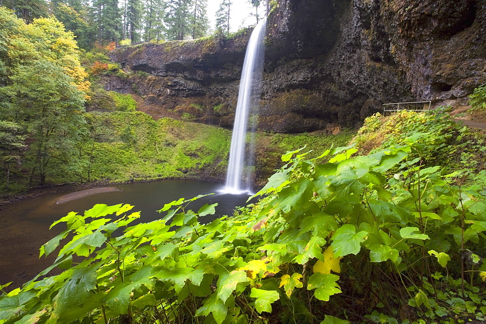 South Silver Falls, Silver Falls State Park, Oregon, Usa