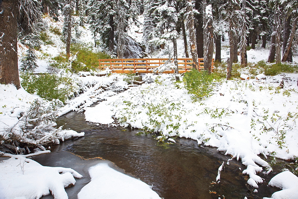 Oregon, United States Of America; First Snow Fall Along Umbrella Falls On Mount Hood In The Oregon Cascades