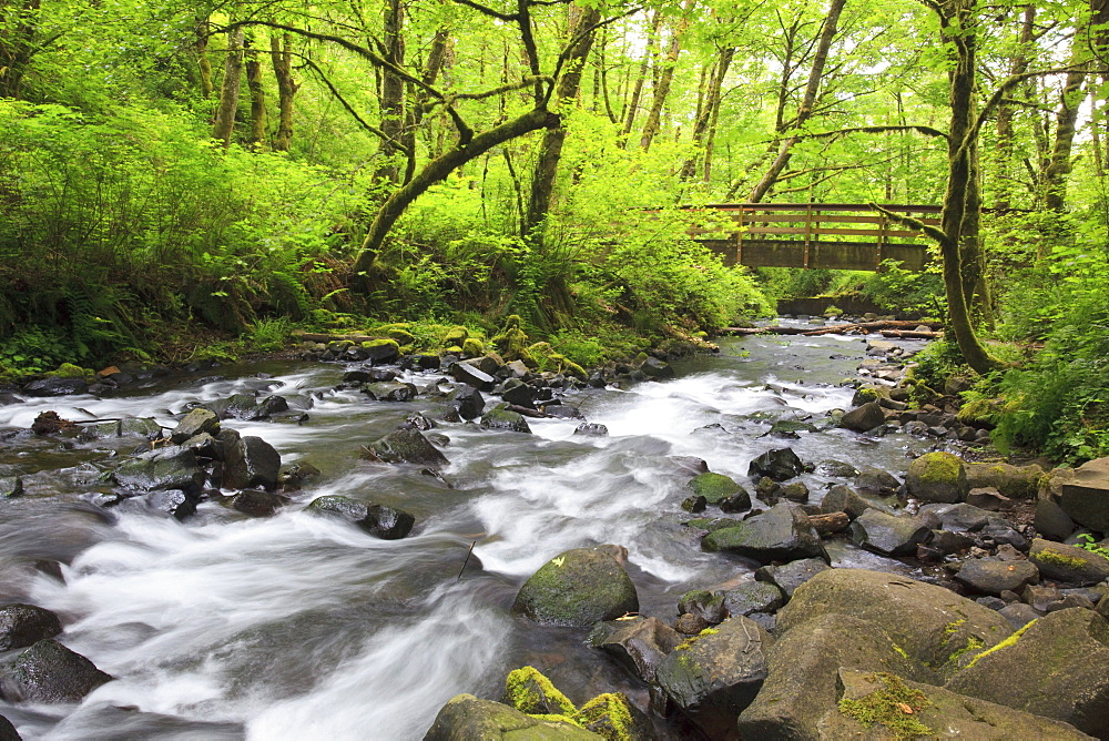 Oregon, United States Of America; Bridal Veil Creek In Columbia River Gorge National Scenic Area