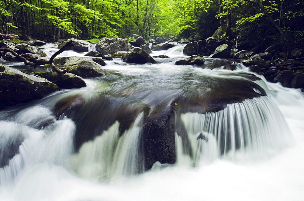 Tennessee, United States Of America; Curved Cascade On The Middle Prong River In The Great Smokey Mountains National Park