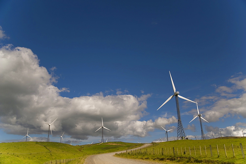 Wind Turbines In A Field With A Road Going Through; Palmerston North, New Zealand