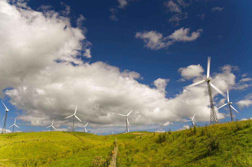 Palmerston North, New Zealand; Wind Turbines In A Field