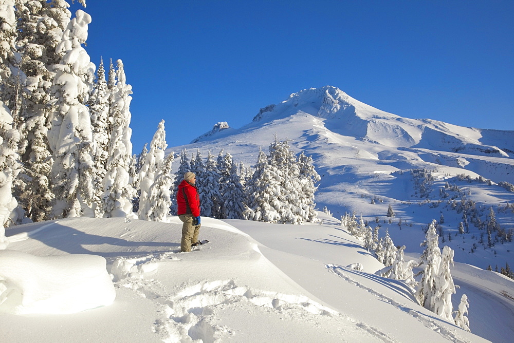 Timberline, Oregon, United States Of America; A Person Snowshoeing In Deep Snow On Mount Hood