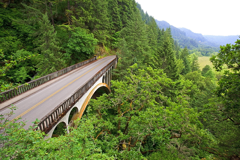 Oregon, United States Of America; Old Scenic Highway In Columbia River Gorge National Scenic Area