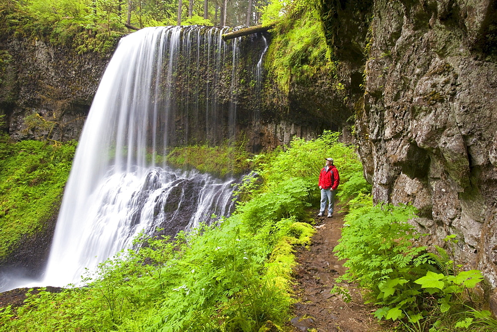 Oregon, United States Of America; A Man Standing By North Middle Falls In Silver Falls State Park