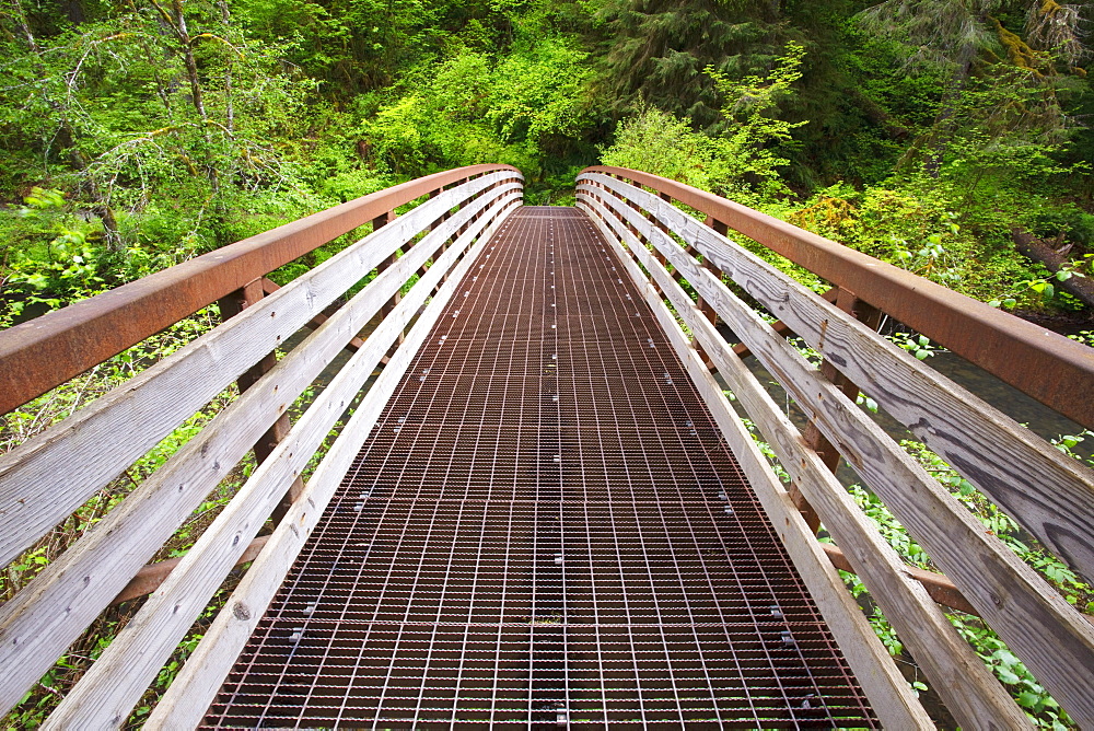 Oregon, United States Of America; A Walking Bridge In Silver Falls State Park