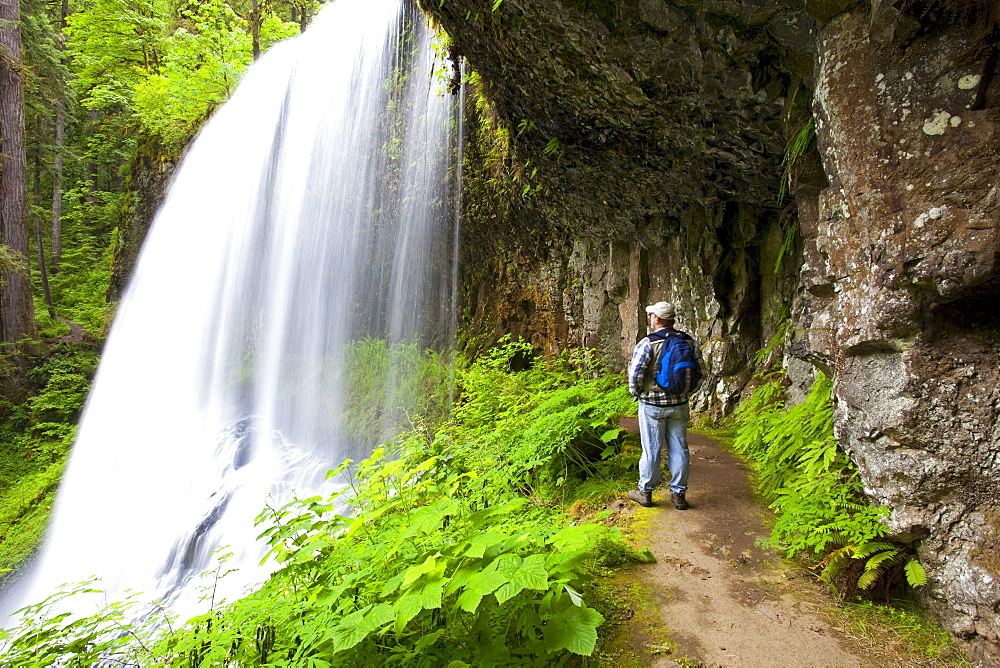 A Hiker At North Middle Falls In Silver Falls State Park; Oregon, USA