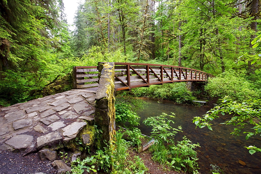 A Bridge, Near North Middle Falls In Silver Falls State Park; Oregon, USA