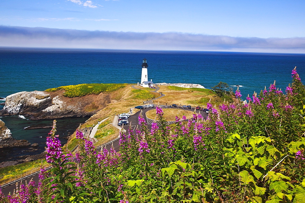 Wildflowers And Yaquina Head Lighthouse; Oregon, United States Of America