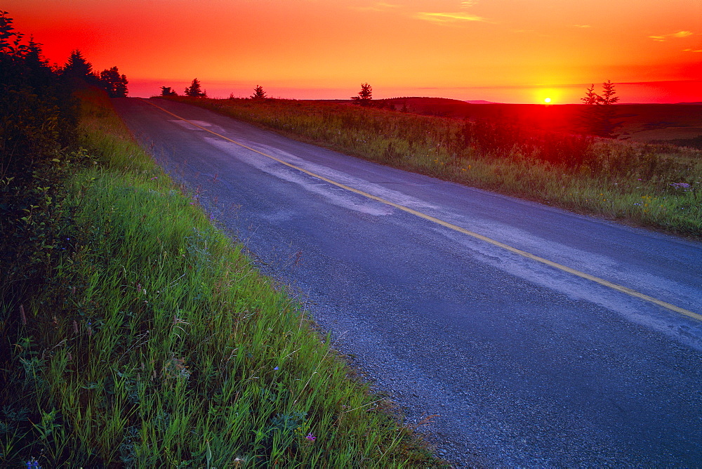 Country Road At Sunset