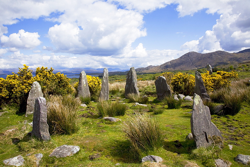 The Ardgroom Stone Circle Near Ardgroom; County Cork, Ireland