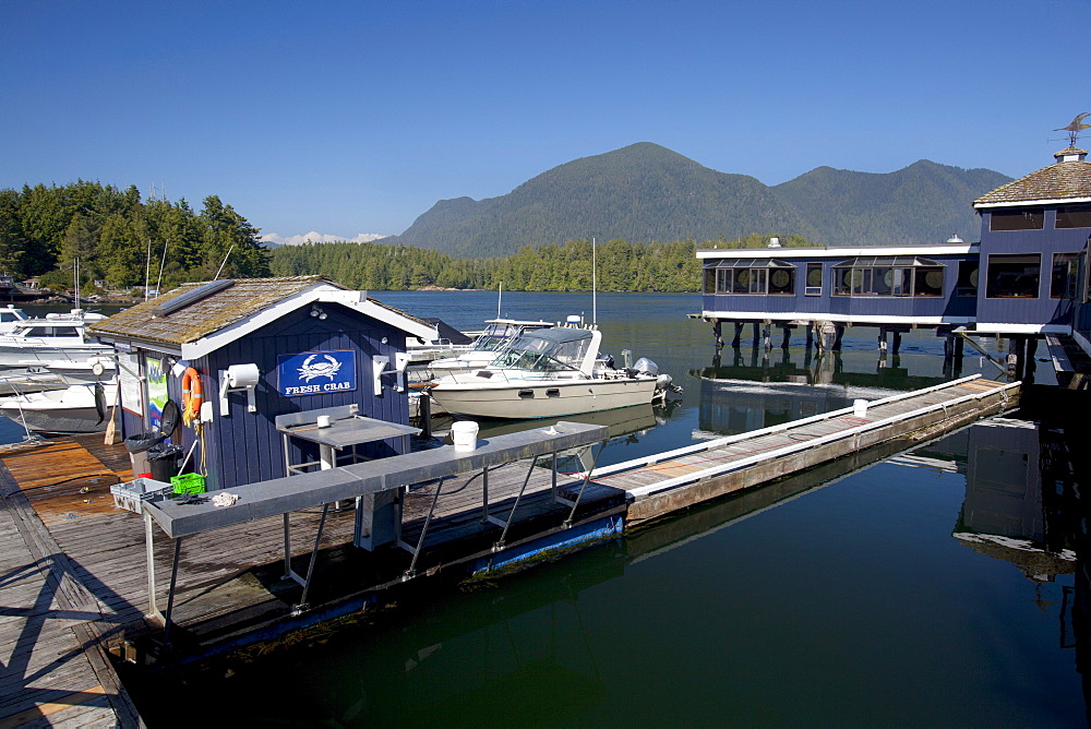 Dock In Front Of Weigh West Marine Resort Restaurant; Tofino, Vancouver Island, British Columbia, Canada