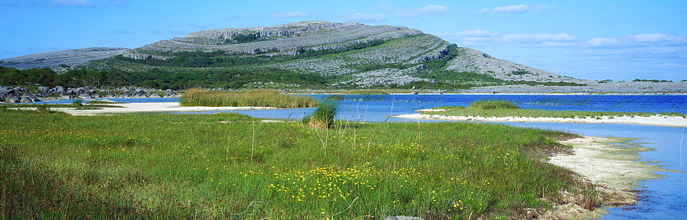 Mullaghmore, The Burren, Co Clare, Ireland