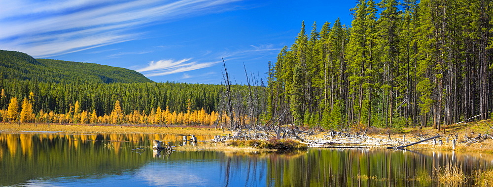 Wilmore Wilderness In The Fall, Alberta, Canada