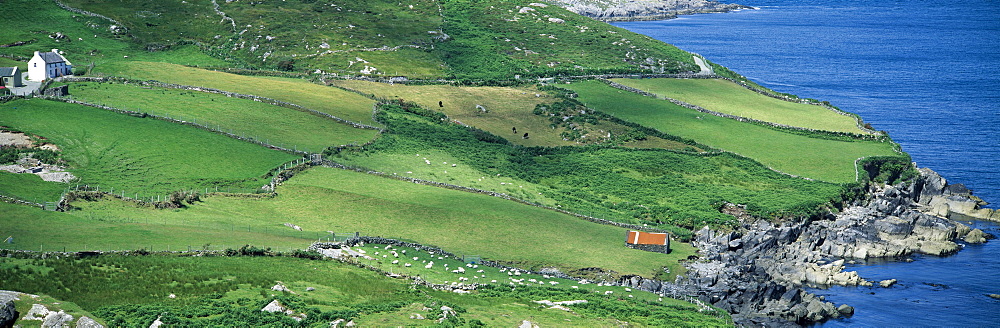 Beara Peninsula; Co Cork, West Cork, Ireland