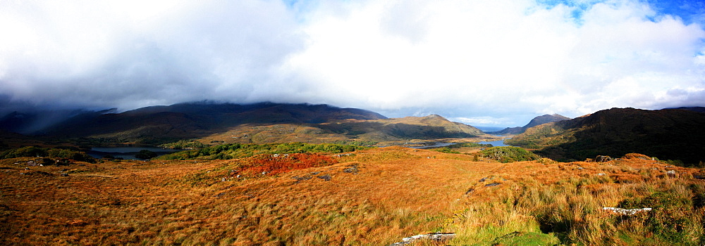 Ladies View, Killarney National Park, Ring Of Kerry, County Kerry, Ireland