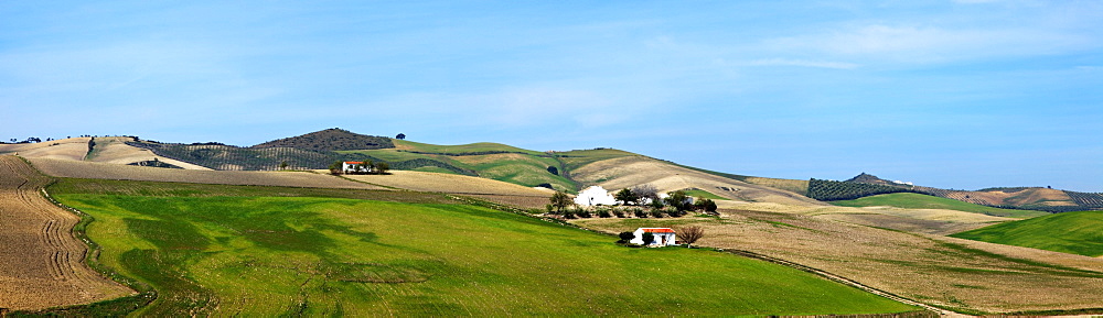 Andalusia, Spain; A View Of The Typical Andalusian Landscape Near Arcos De La Frontera