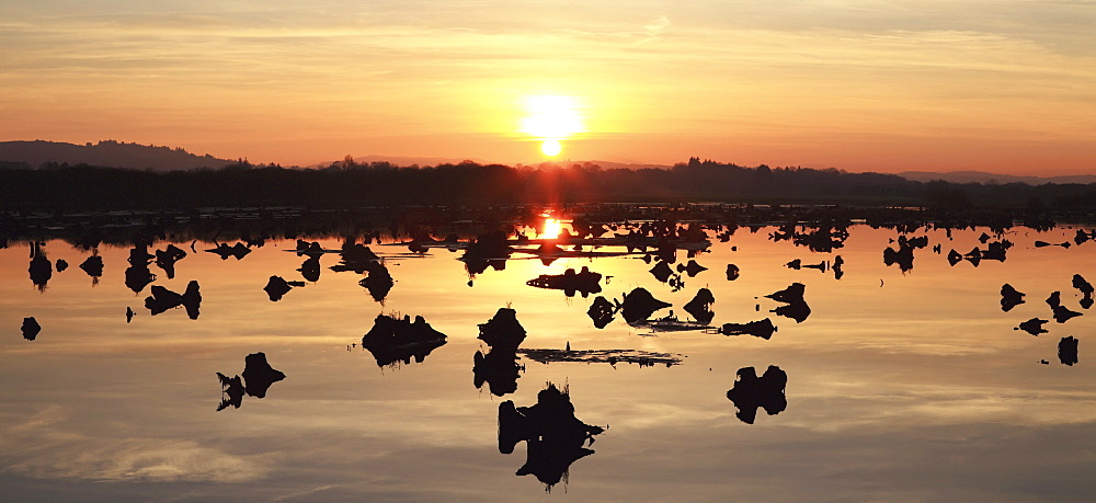 Sunset Over Water In Gearagh Nature Reserve; Macroom County Cork Ireland