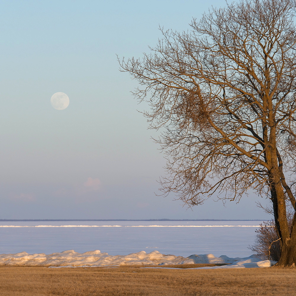 Full Moon Over Frozen Lake Winnipeg In Winter, Hecla-Grindstone Provincial Park, Riverton, Manitoba, Canada