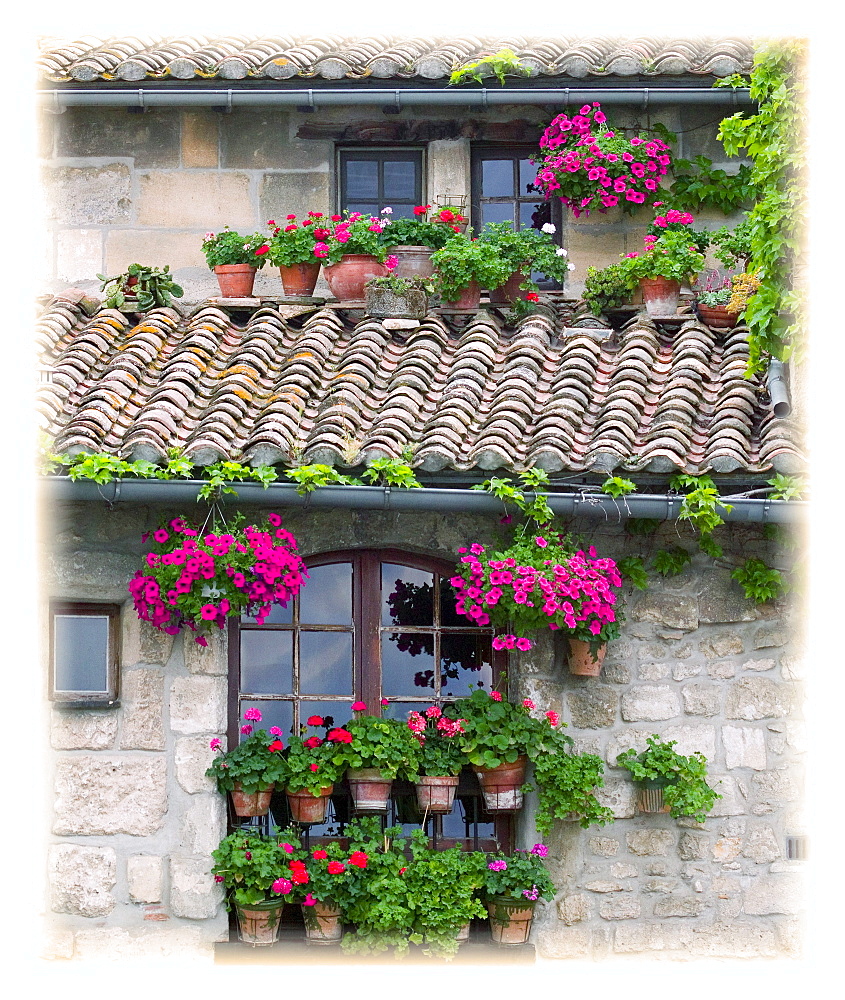 Flower Pots In Windows In Arles, Provence, France