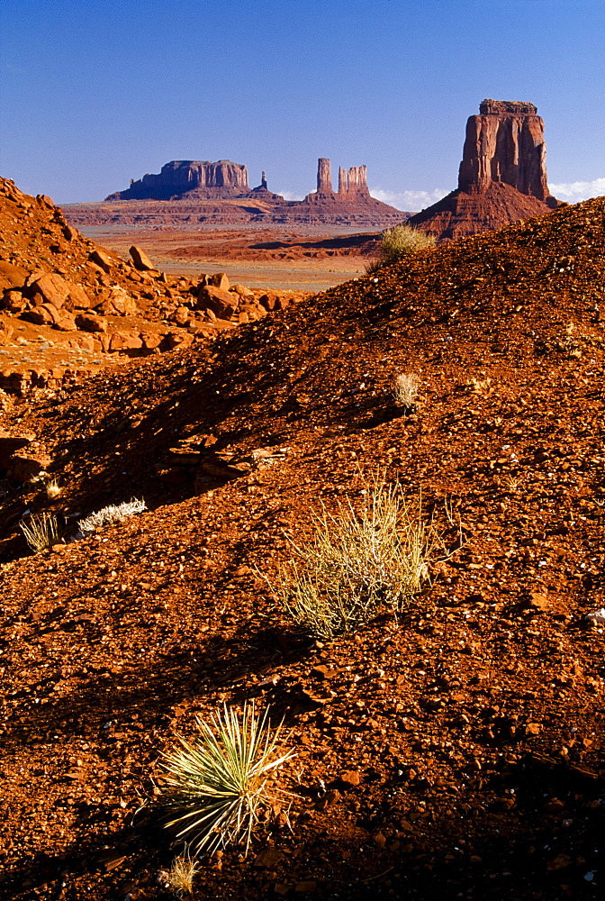 Monument Valley Navajo Tribal Park, Arizona, United States Of America