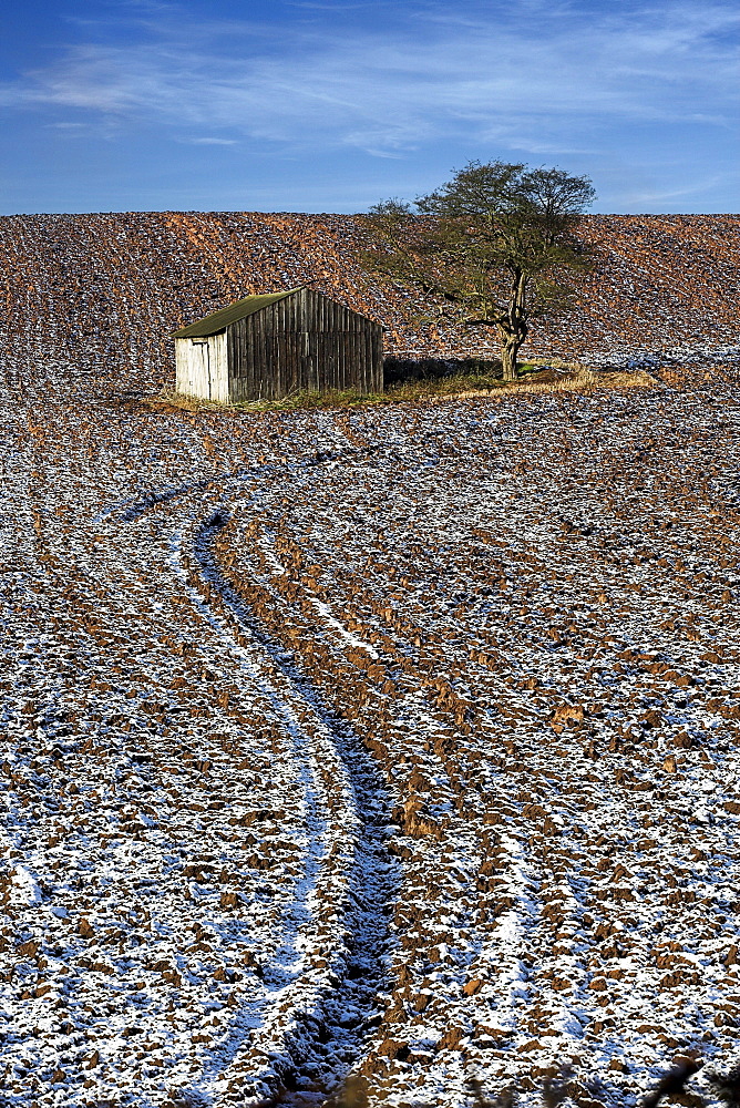 Barn And Tree In Ploughed Field In Winter, Nottinghamshire, England