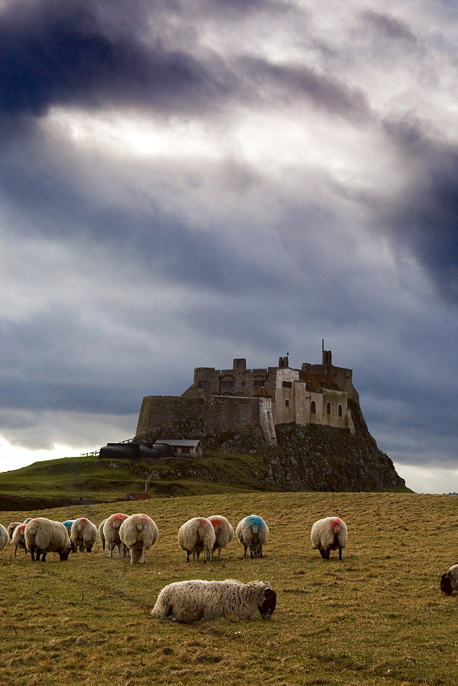 Holy Island Of Lindisfarne, Lindisfarne Castle, Near Berwick-Upon-Tweed, Northumberland, England