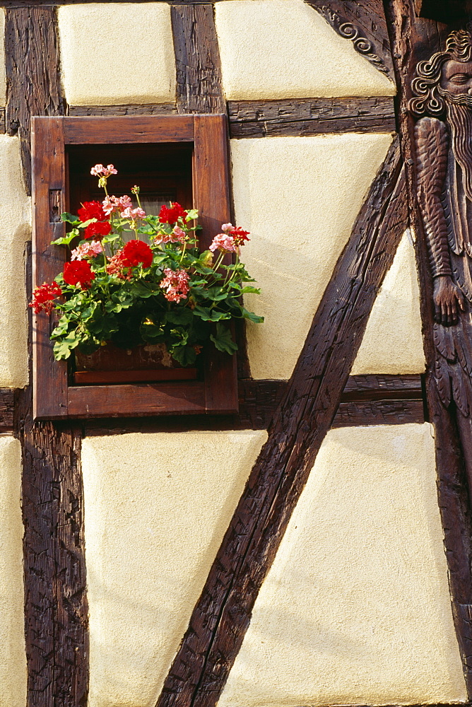 Geraniums In Window Of Half-Timbered House