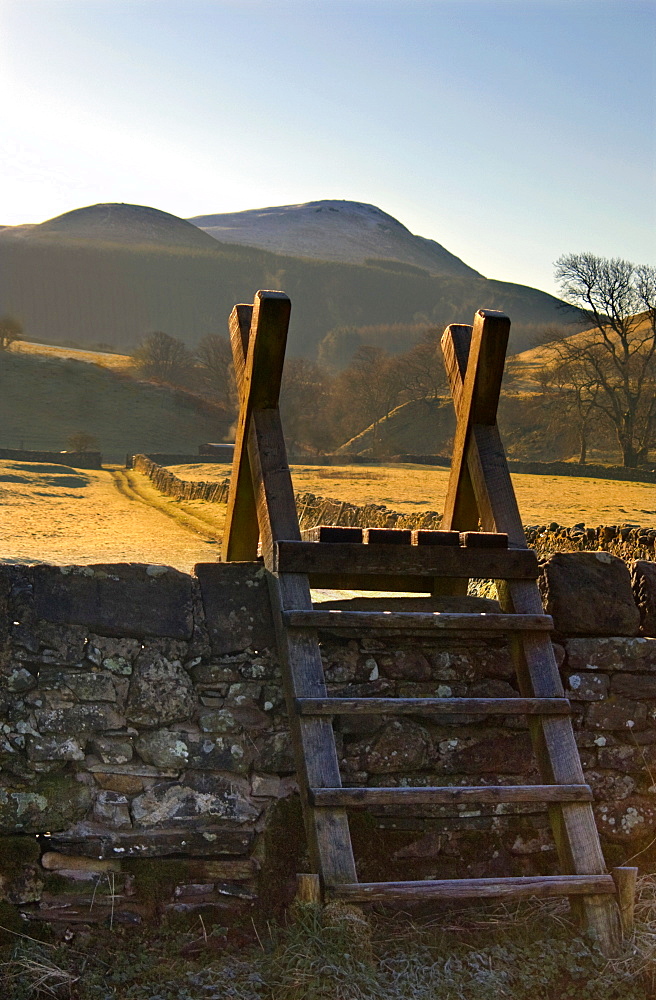 Ladder Over Stone Wall, Lake District, Cumbria, England, United Kingdom