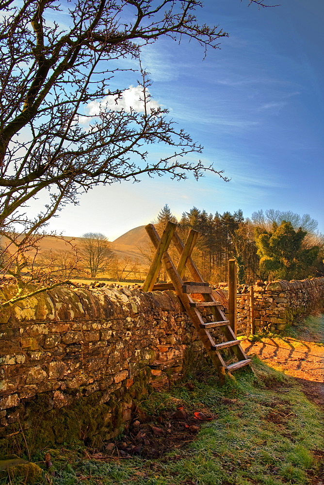 Ladder Over Stone Wall, Lake District, Cumbria, England, United Kingdom