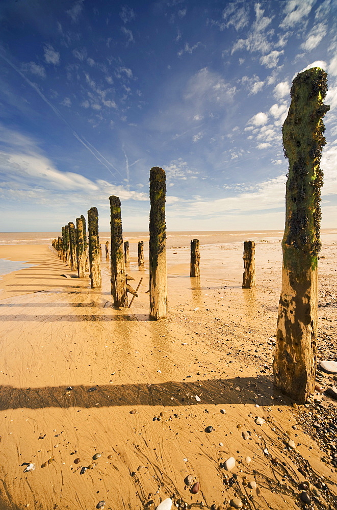 Low Tide, Humberside, England