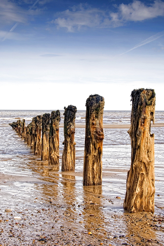 Remnants Of Mooring Posts, Humberside, England