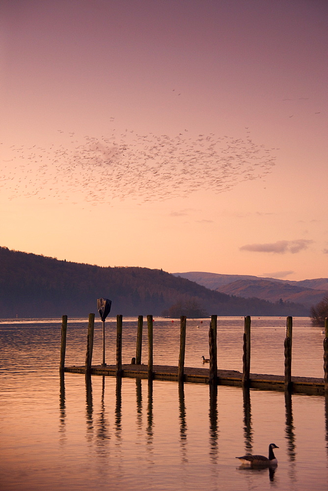 Sunset Over A Dock In The Lake, England