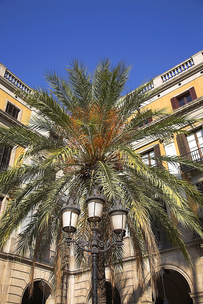 Placa Reial, Barcelona, Spain