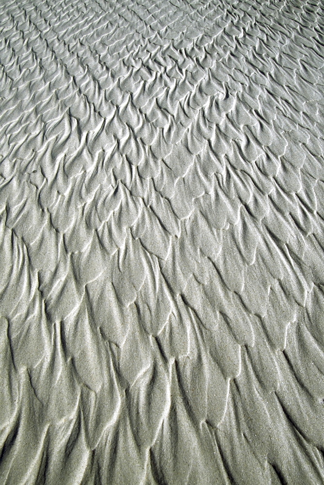 Pattern In Firm Sand