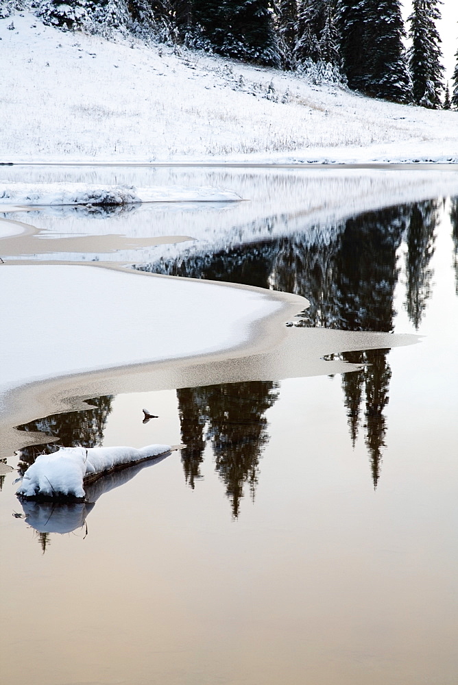 Washington, United States Of America, Snow Around Tipsoo Lake In Mt. Rainier National Park