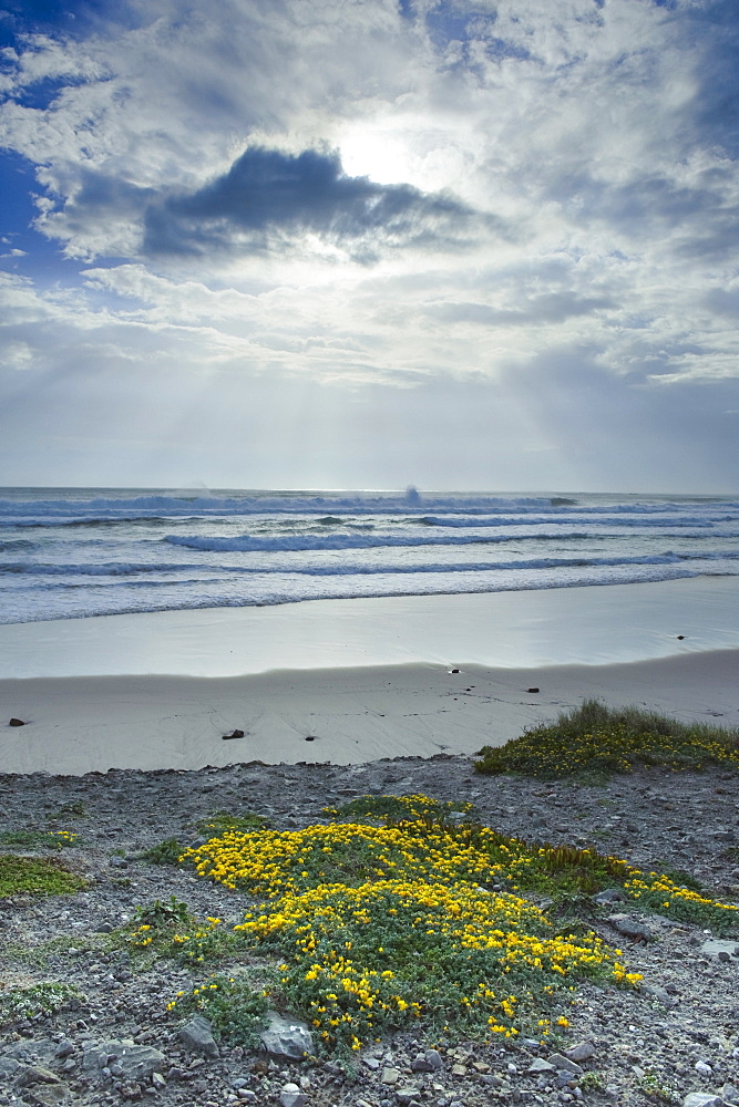 Los Lances Beach Along Costa De La Luz, Tarifa, Cadiz, Andalusia, Spain