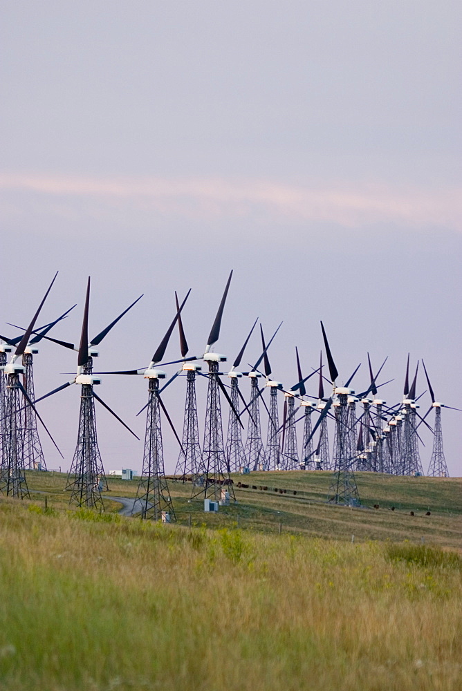 Windmills Used To Generate Electrical Power At Cowley Ridge In Southern Alberta, Canada