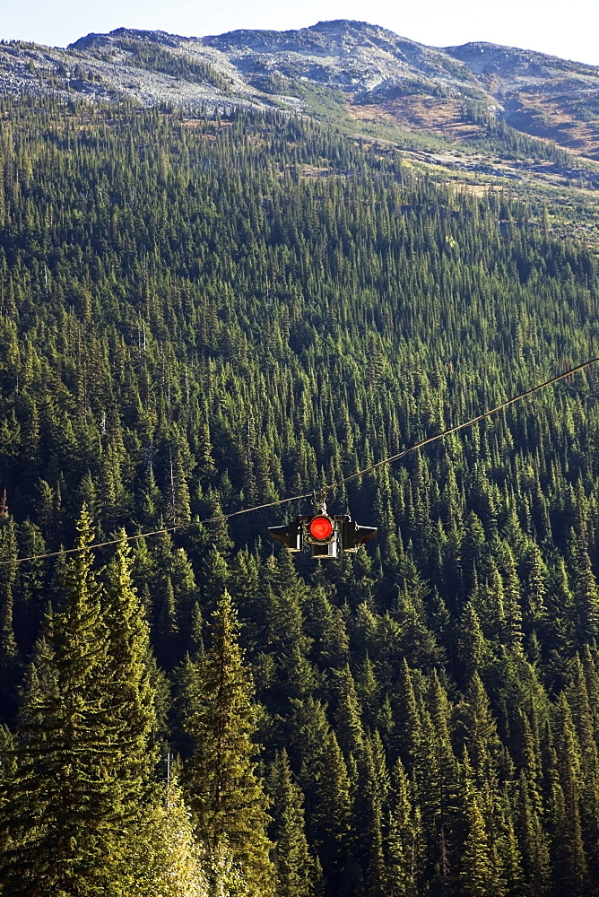 A red traffic light hung on a cable above a forest, Alberta canada