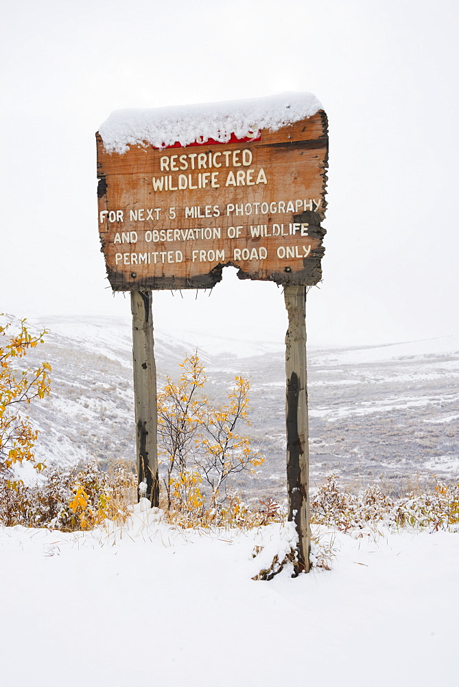 Restricted area sign entering sable pass covered in snow in autumn denali national park, Alaska united states of america