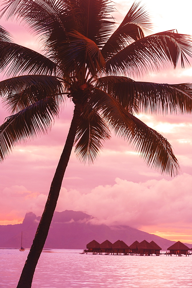 Sunset over moorea from sofitel maeva beach resort near papeete, Tahiti nui society islands french polynesia south pacific