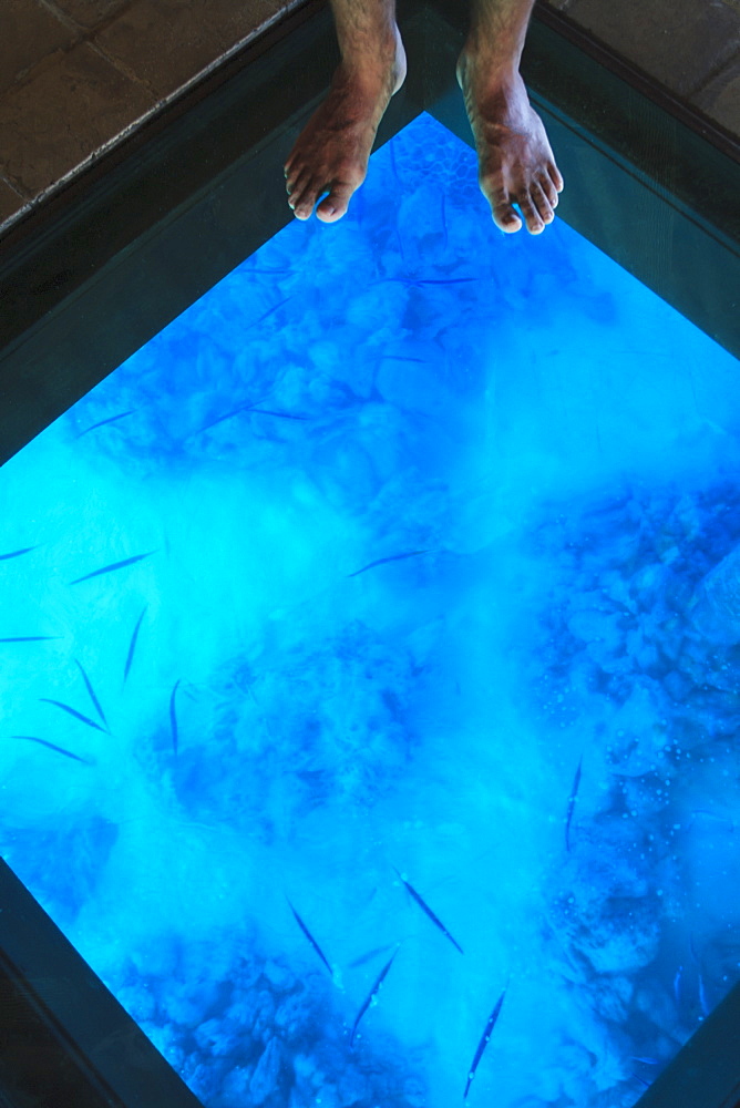 Glass floor in a room of bora bora nui resort and spa, Bora bora island society islands french polynesia south pacific