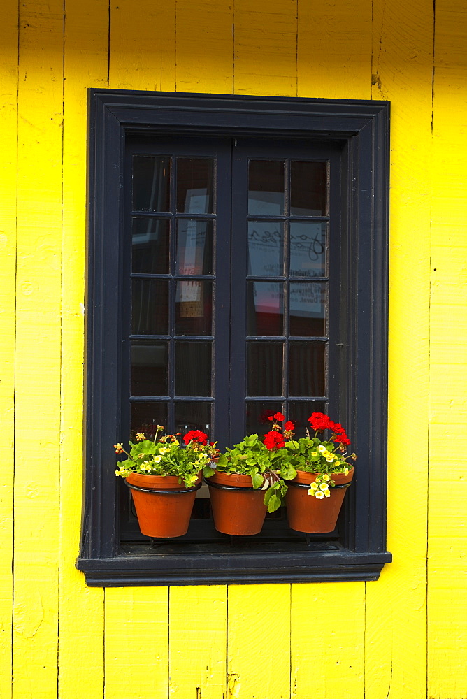 Flower pots on a window ledge, Trois-rivieres quebec canada