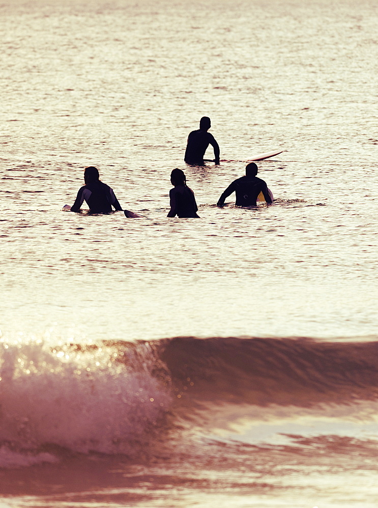 Out In The Ocean With Surfboards, Tarifa, Cadiz, Andalusia, Spain