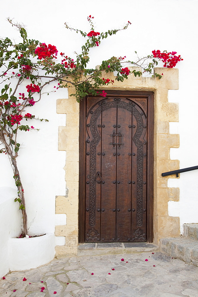 Wooden Door On A White Building With A Blossoming Vine Growing On The Wall, Vejer De La Frontera, Andalusia, Spain