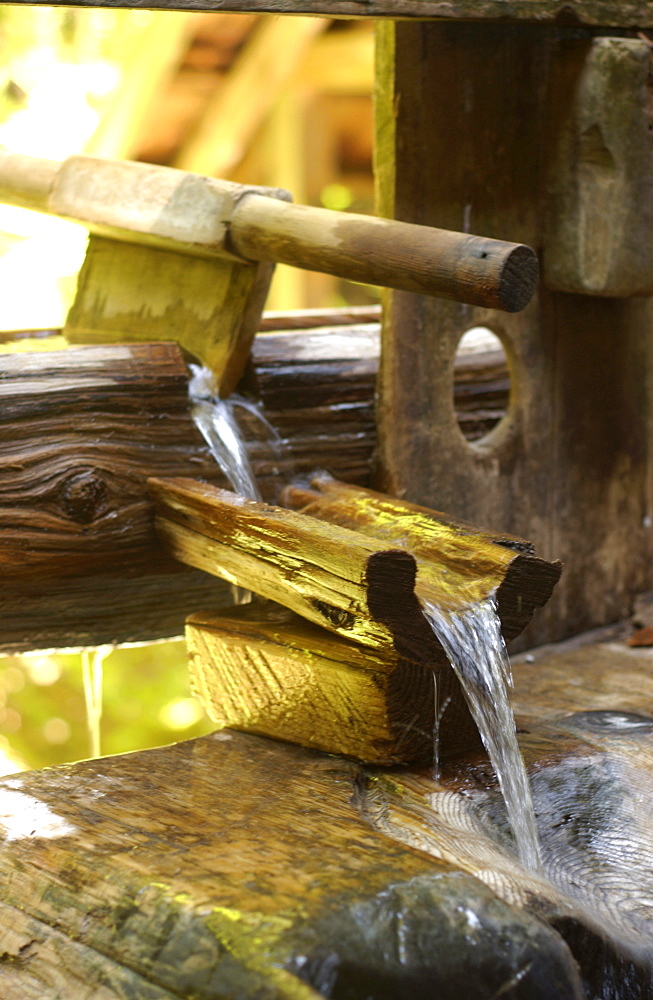 Hollowed Out Cedar Logs Transport Hot Spring Water Into Hollowed Out Cedar Log Tubs, Bagby Hot Springs, Estacada, Oregon, Usa