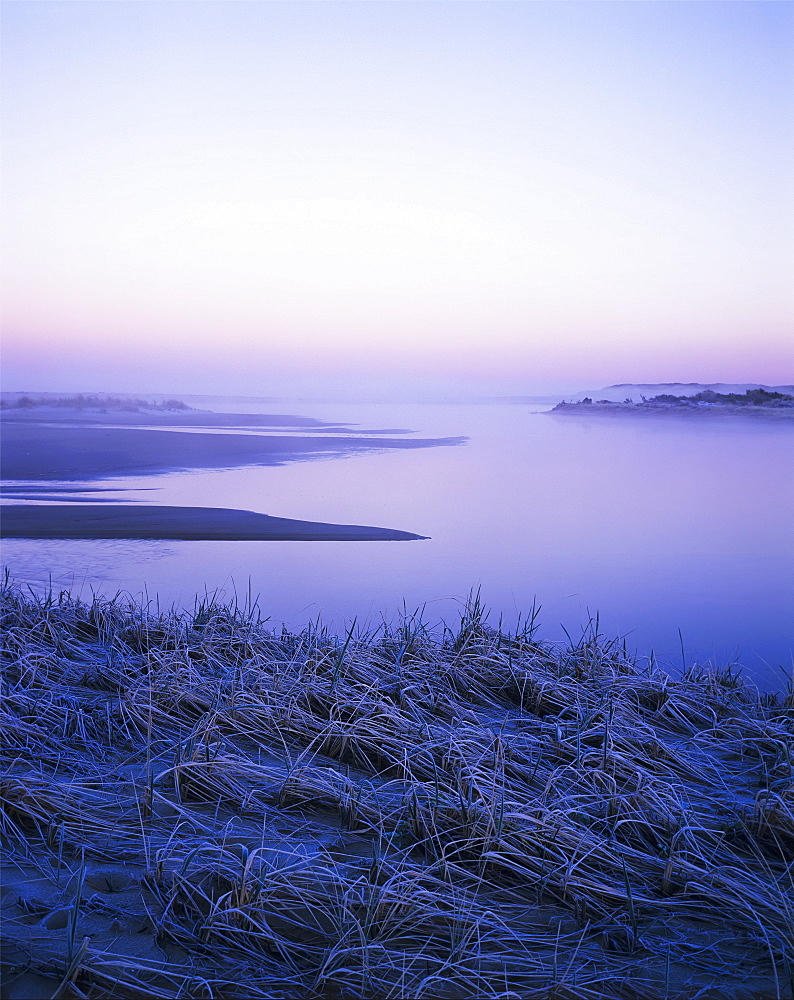 Frost Coats The Beach Grass On The Salt Marsh, Florence, Oregon, United States Of America