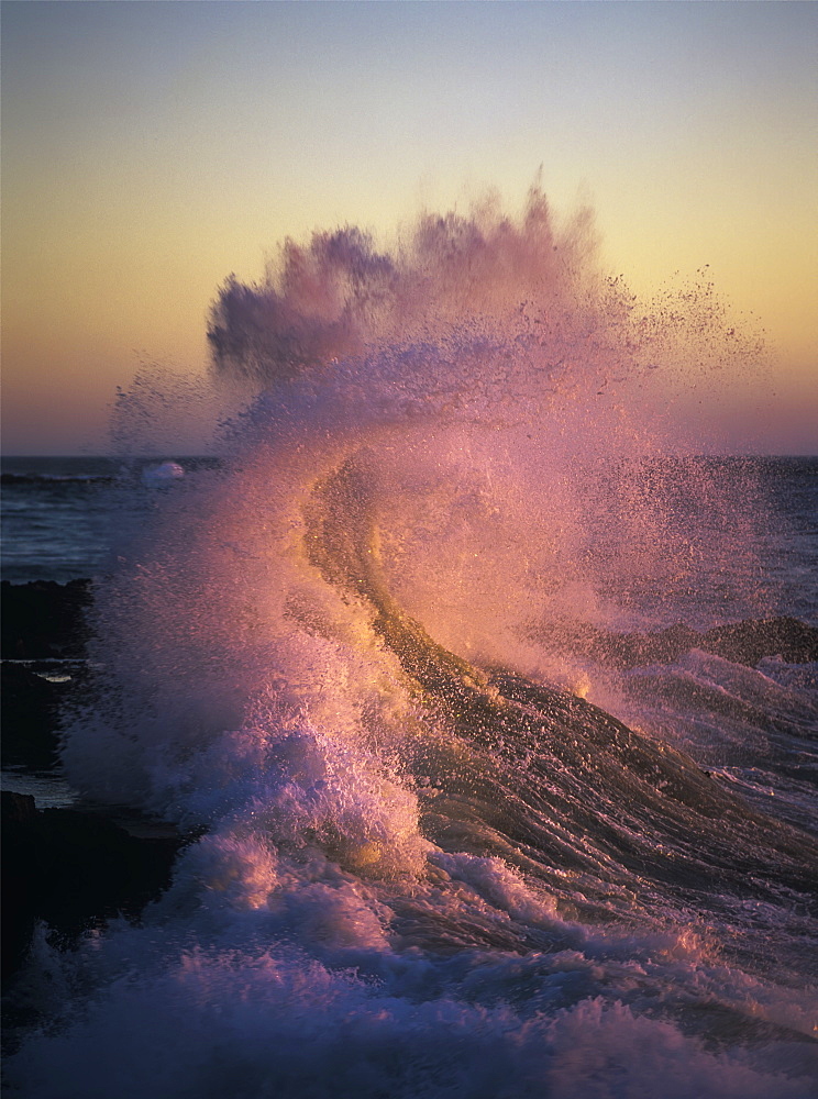 A Wave Glowing Pink Breaks On The Shore At Sunset, Yachats, Oregon, United States Of America